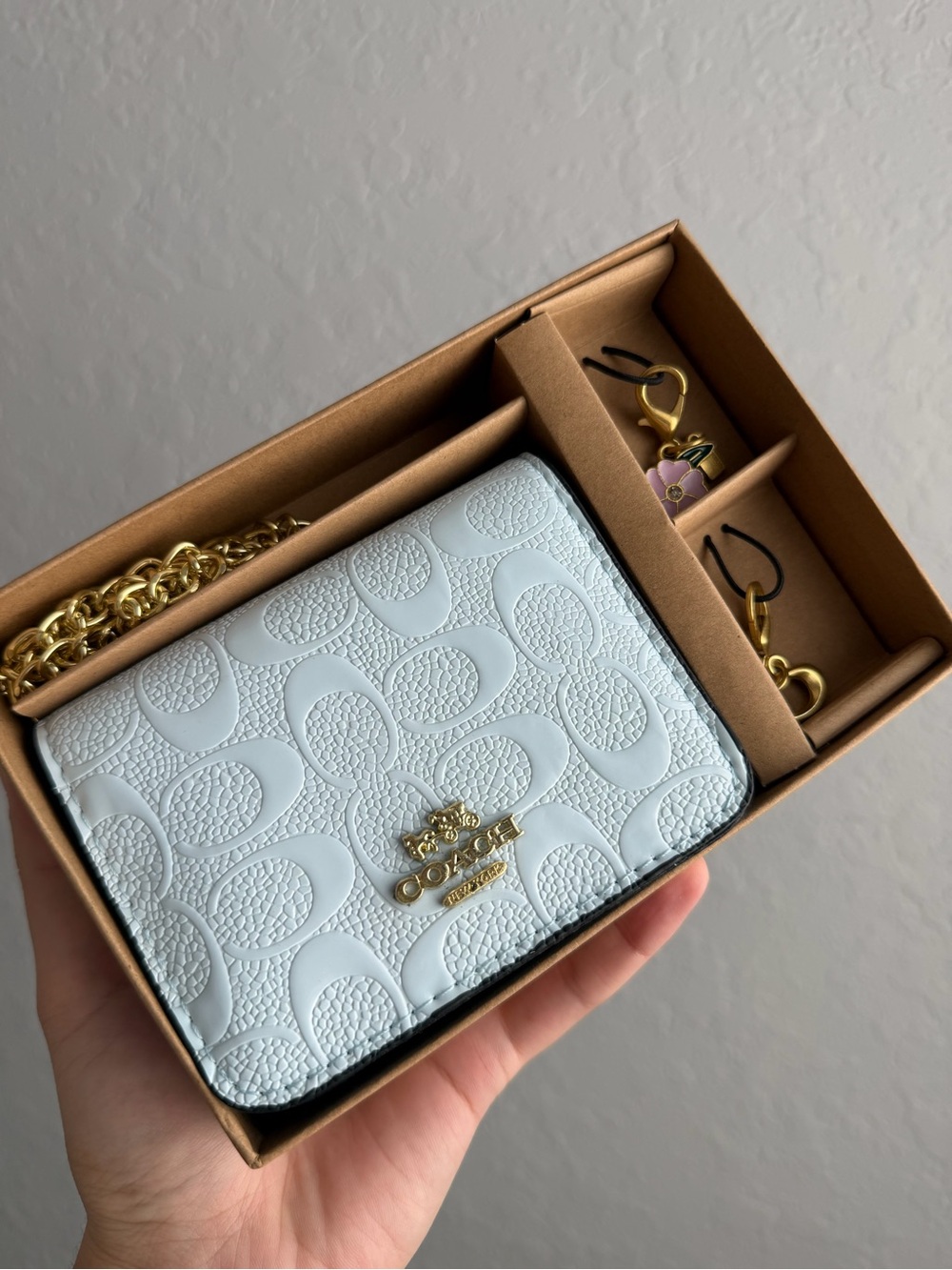 Mini CrossbodyLight Blue Signature Leather Small Shoulder Bag with Gold Hardware